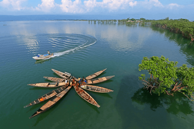 টাঙ্গুয়ার হাওর | Tanguar Haor